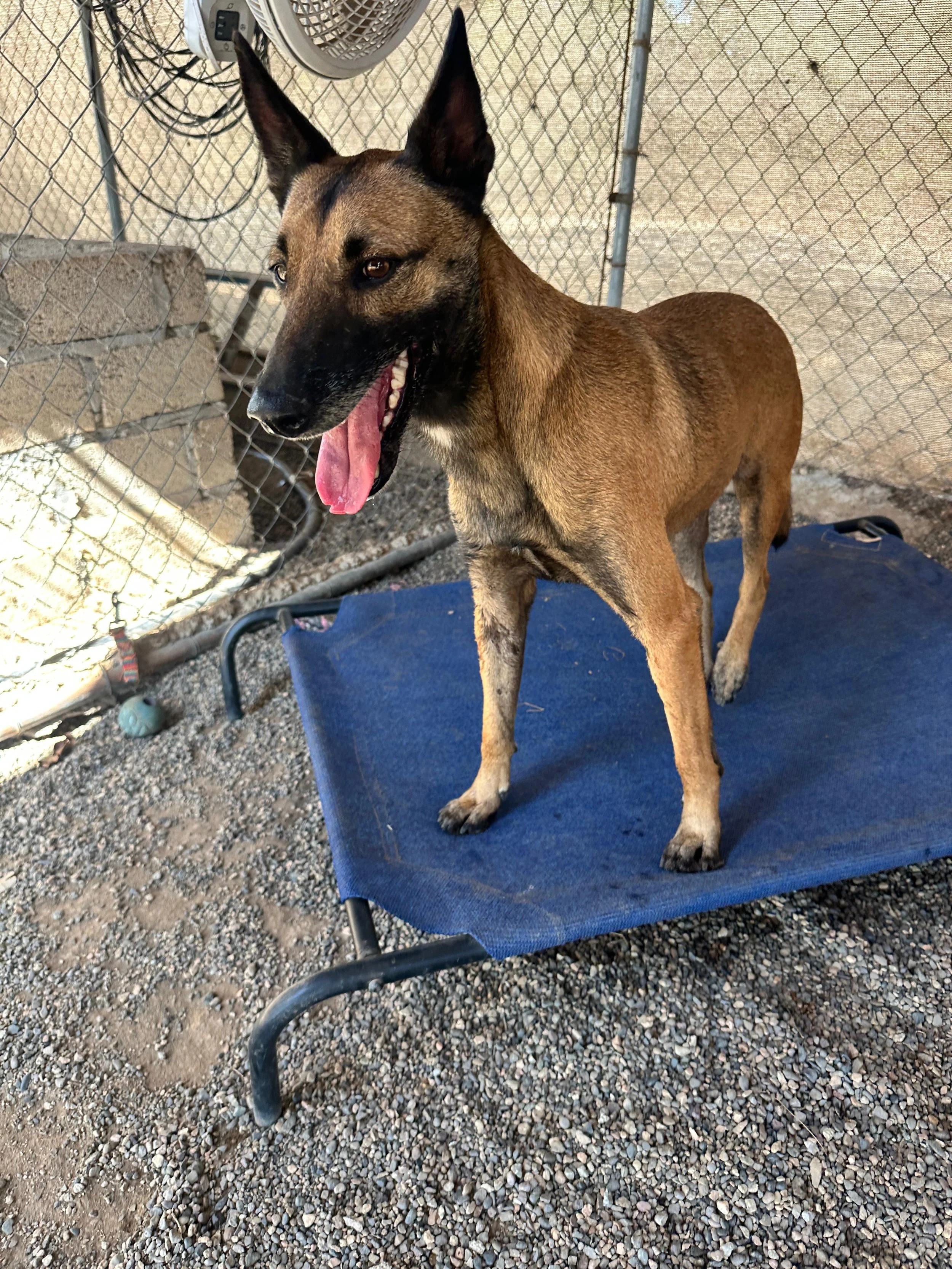 WhatsApp Image 2026-02-05 at 2.06.56 PM (1) (1).jpeg