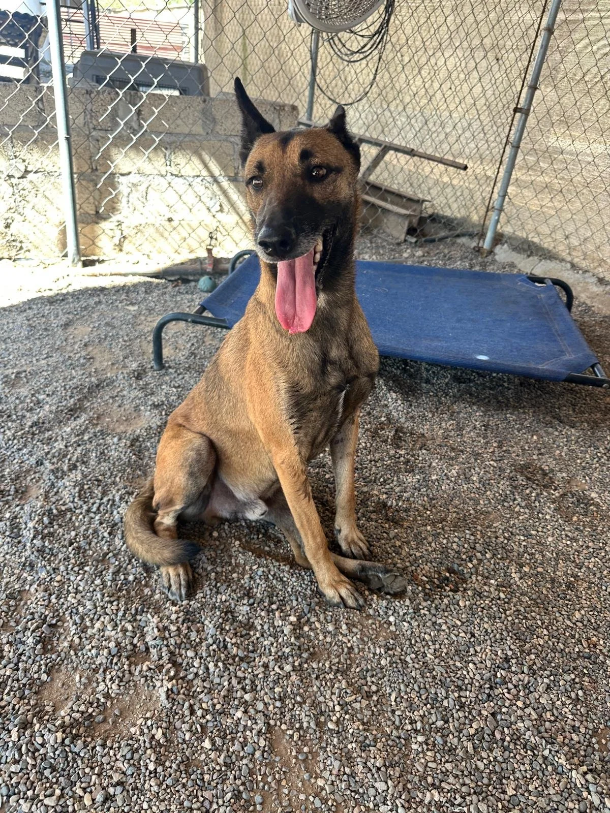 WhatsApp Image 2026-02-05 at 2.06.05 PM (1) (1).jpeg