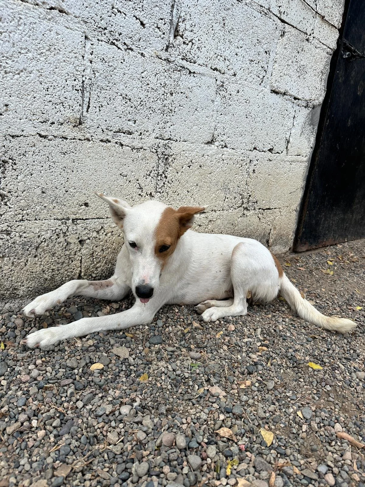 WhatsApp Image 2026-02-13 at 3.47.34 PM.jpeg