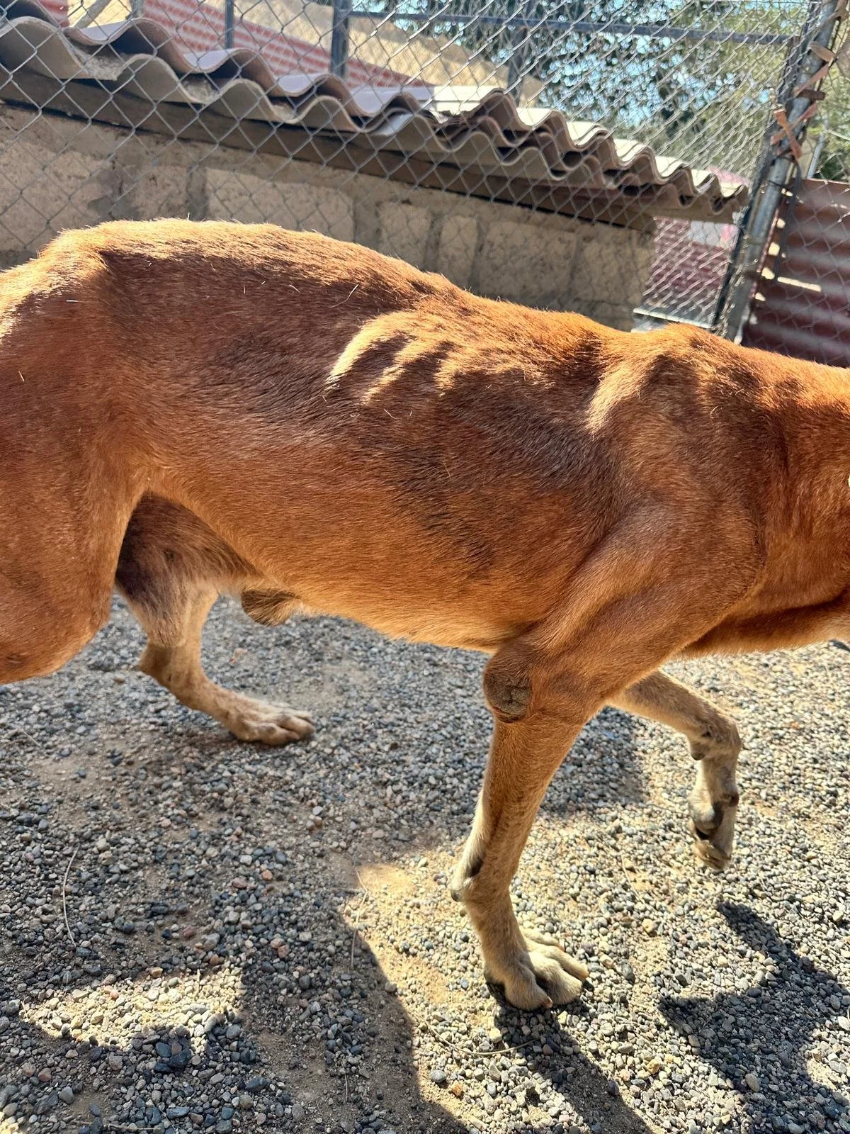 WhatsApp Image 2026-02-05 at 3.54.52 PM (1).jpeg