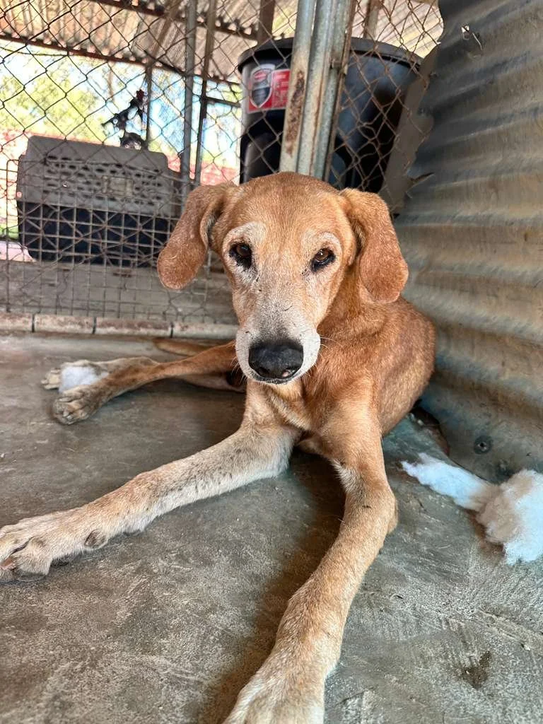 WhatsApp Image 2026-02-05 at 3.06.59 PM (2) (1).jpeg