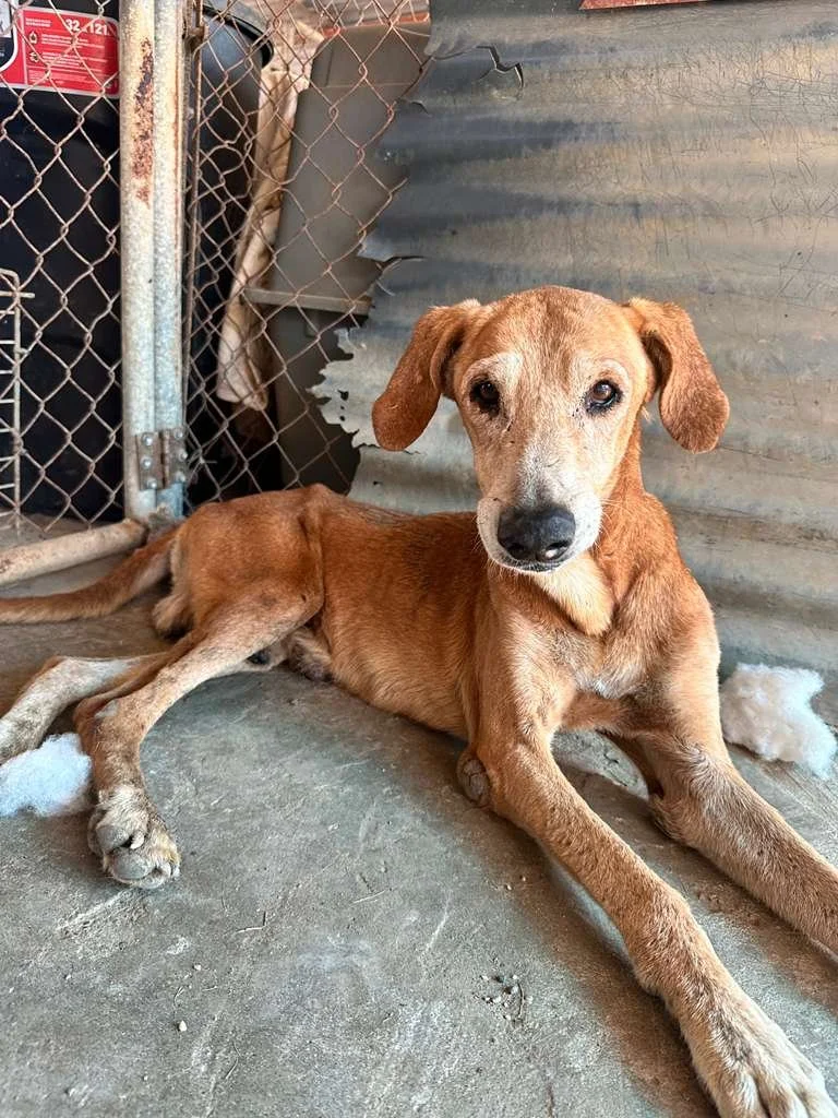 WhatsApp Image 2026-02-05 at 3.06.59 PM (1) (1).jpeg