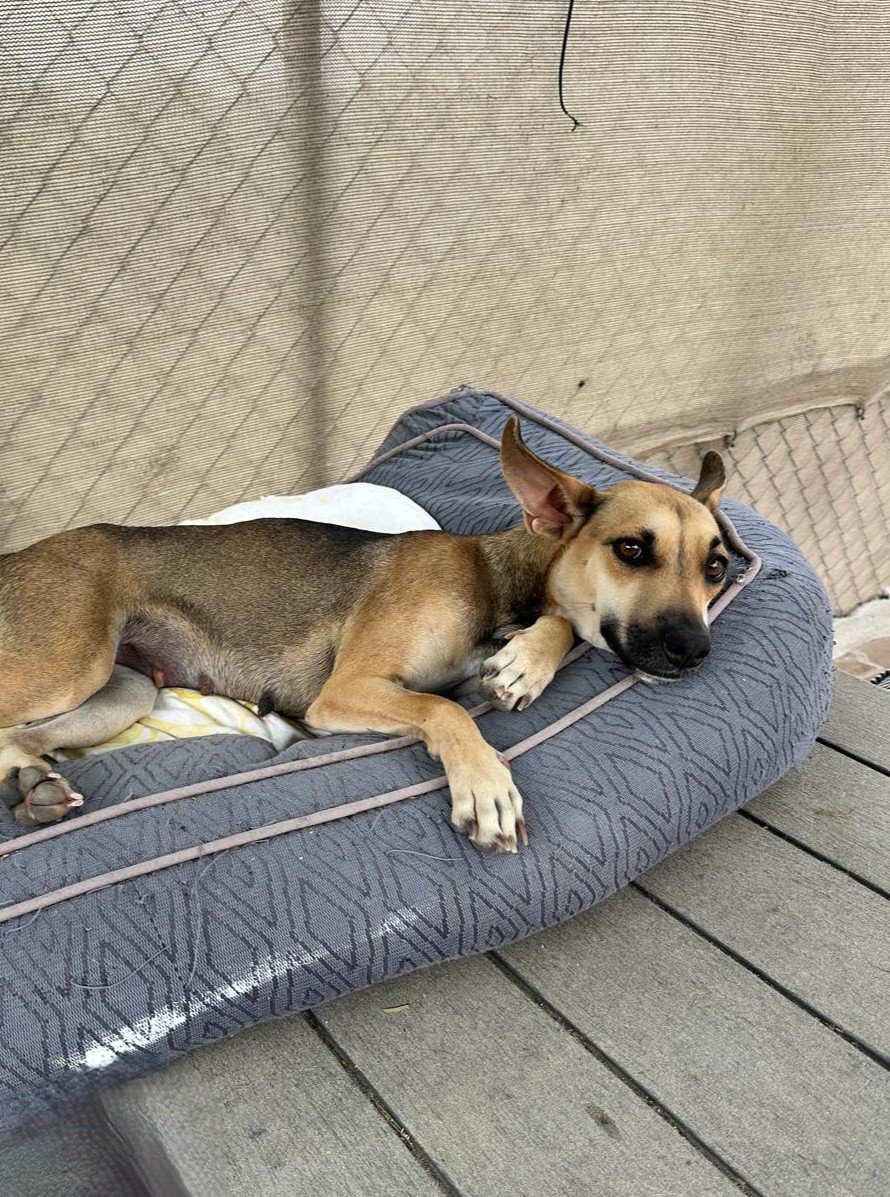 WhatsApp Image 2026-02-13 at 3.47.23 PMjj.jpeg