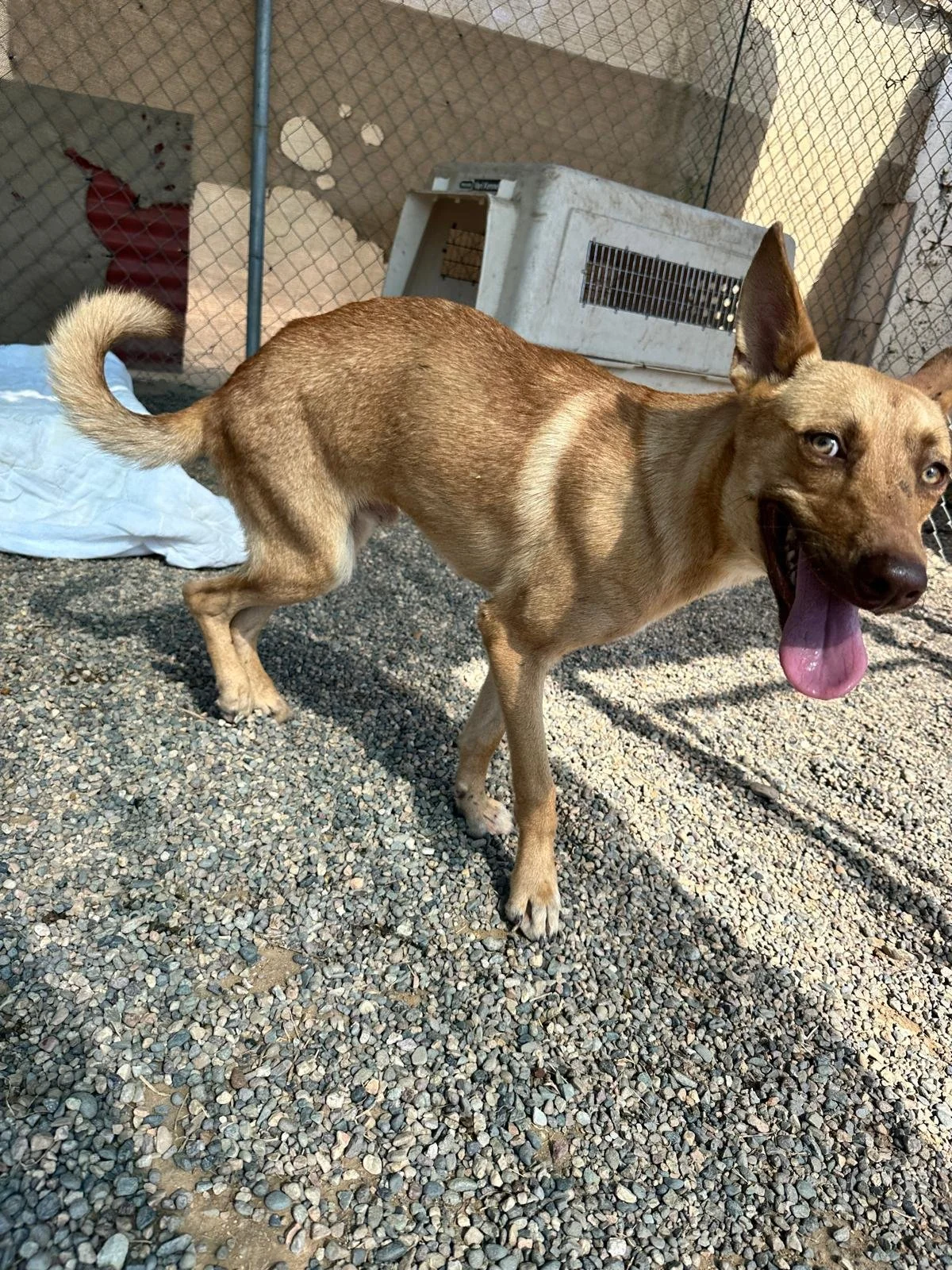 WhatsApp Image 2026-02-08 at 4.38.59 PM (7) (1).jpeg