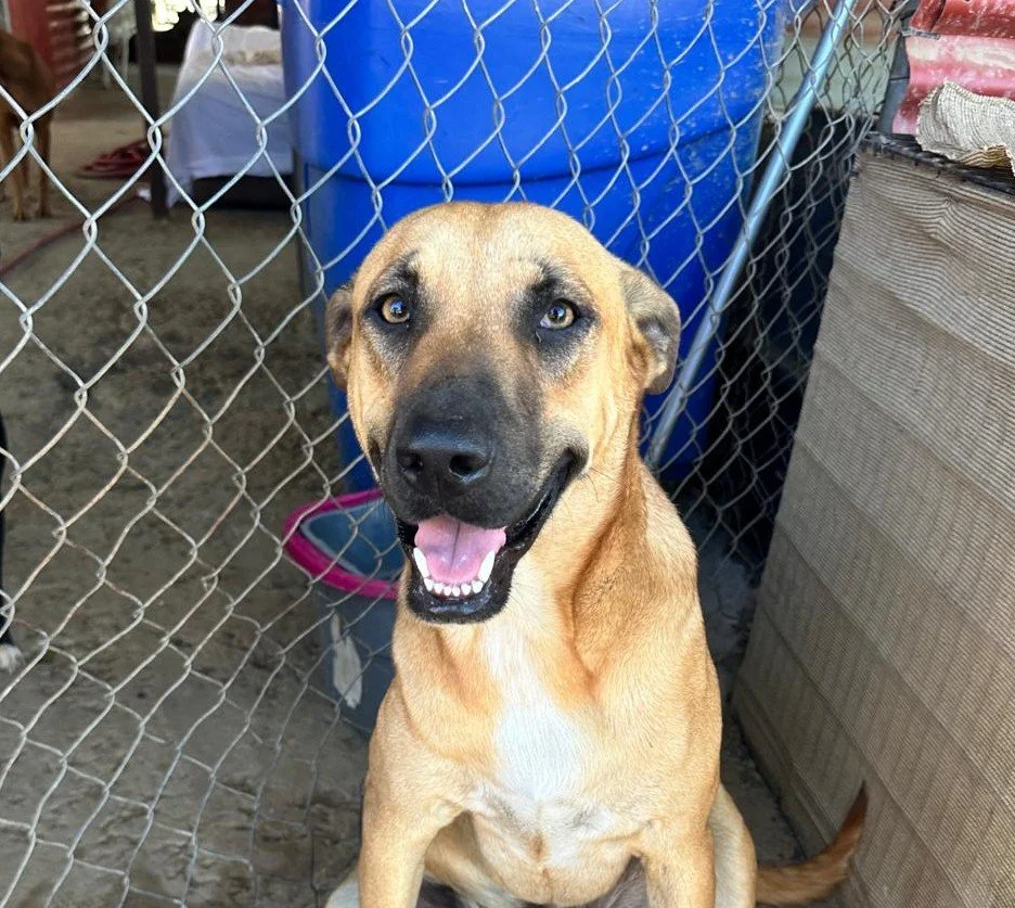 WhatsApp Image 2026-02-14 at 5.29.47 PM.jpeg