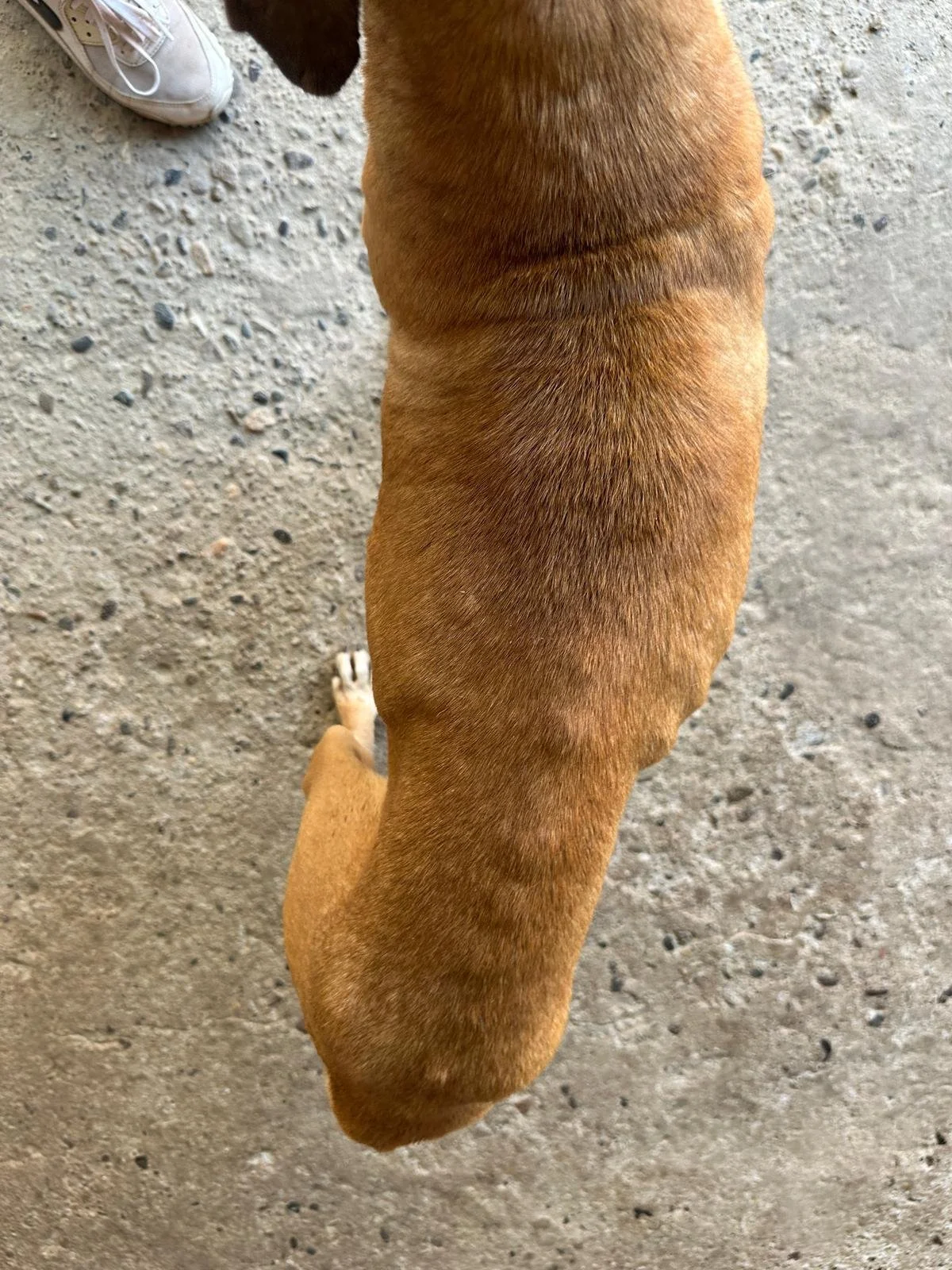 WhatsApp Image 2026-02-16 at 5.36.40 PM (5).jpeg