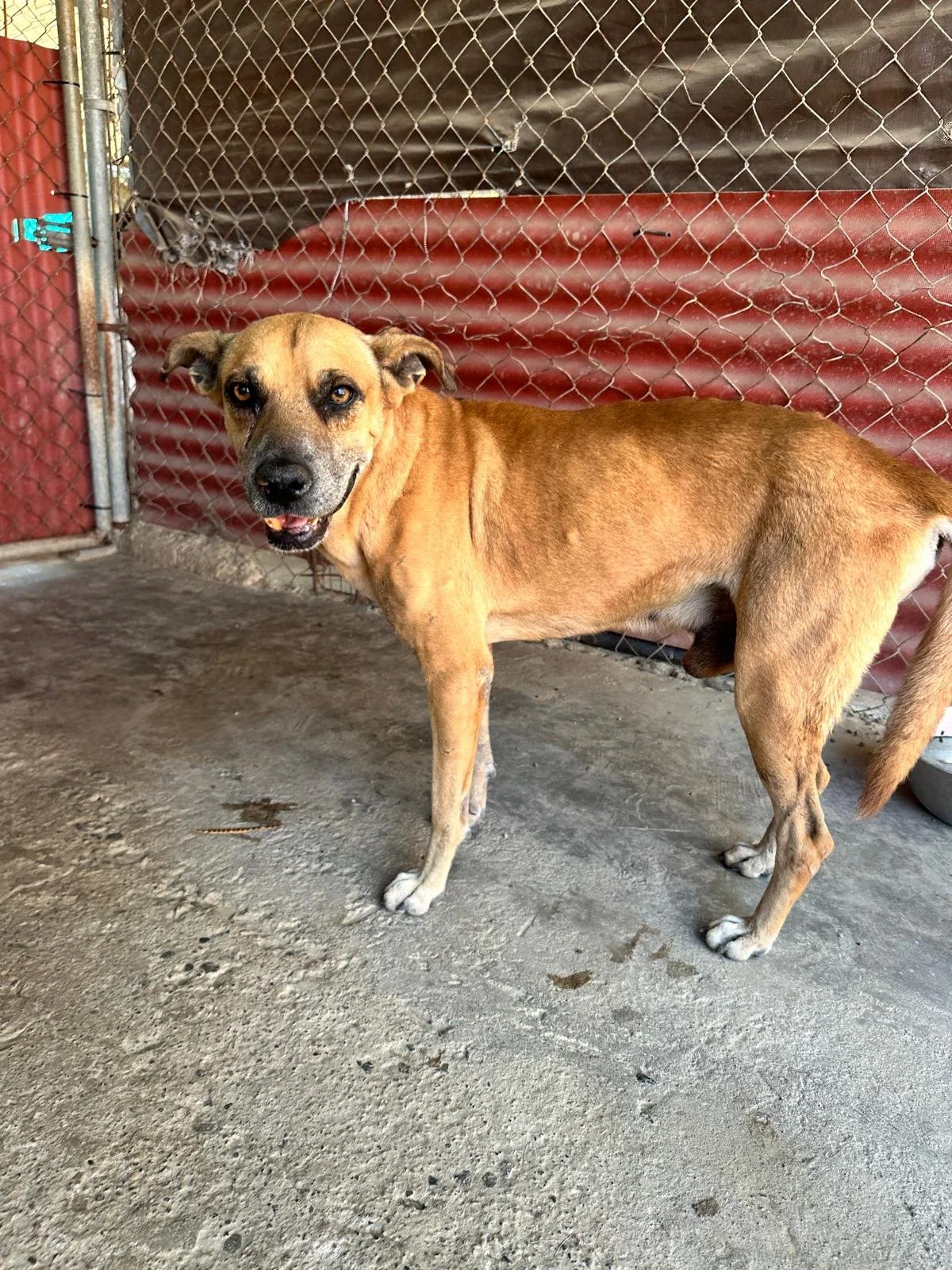 WhatsApp Image 2026-02-16 at 5.36.40 PM (1).jpeg