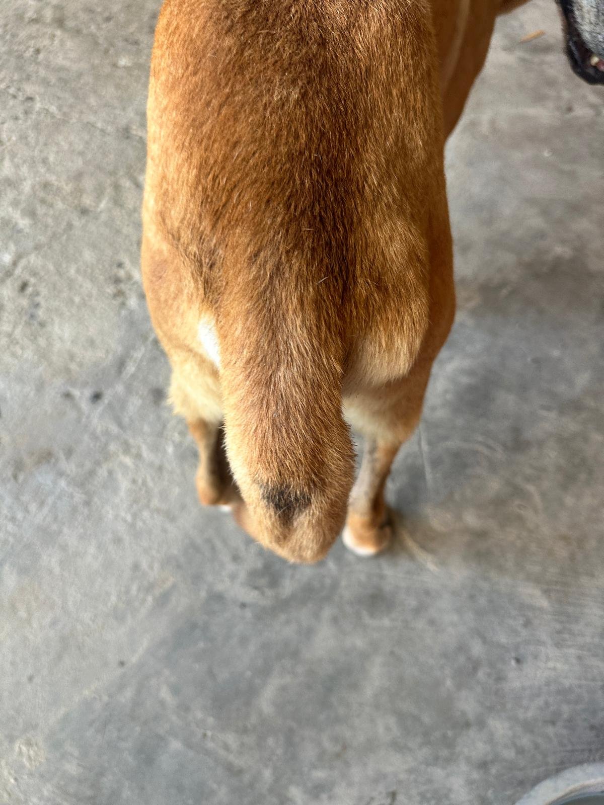 WhatsApp Image 2026-02-16 at 5.36.40 PM (4).jpeg