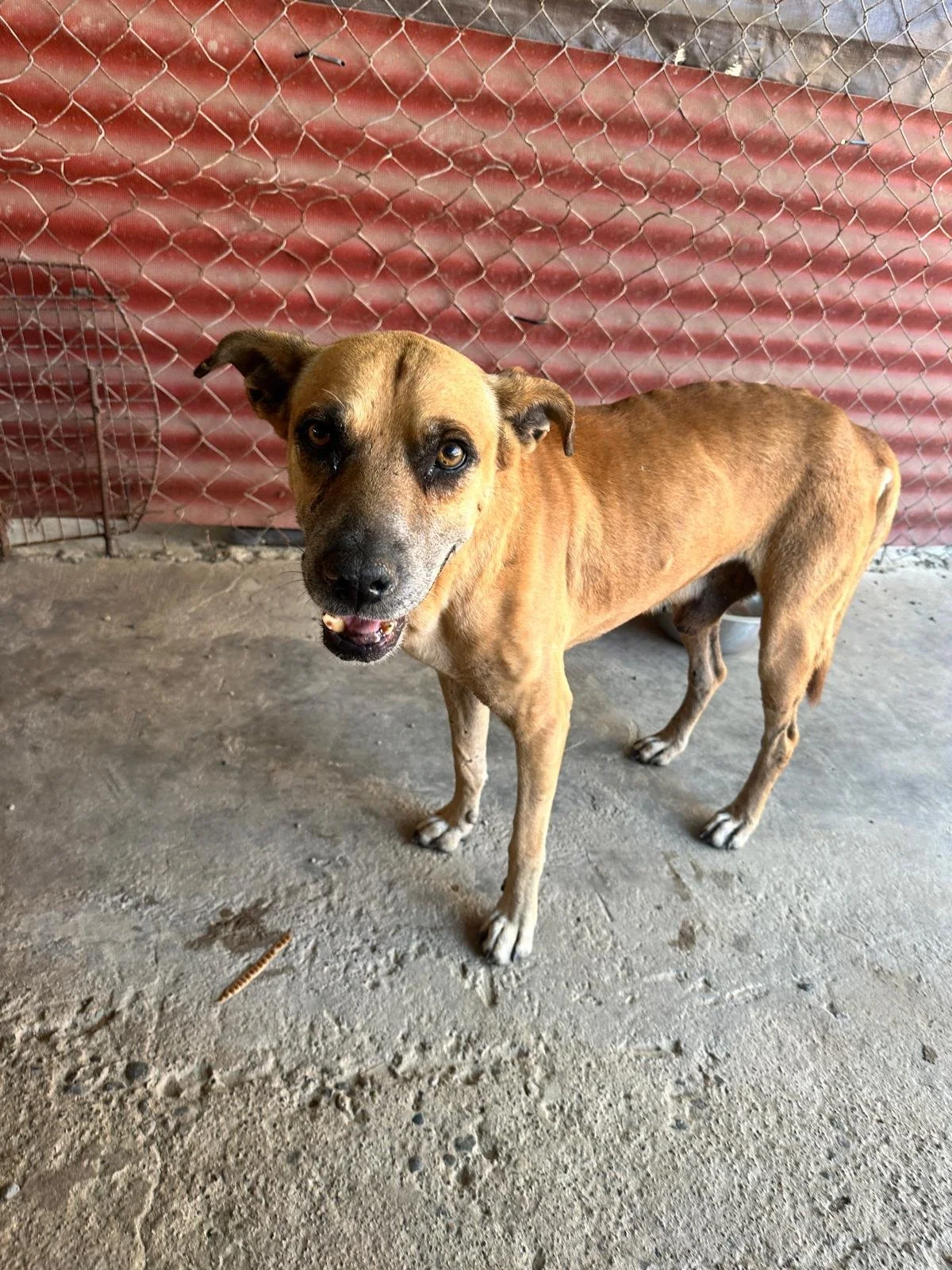 WhatsApp Image 2026-02-16 at 5.36.40 PM.jpeg