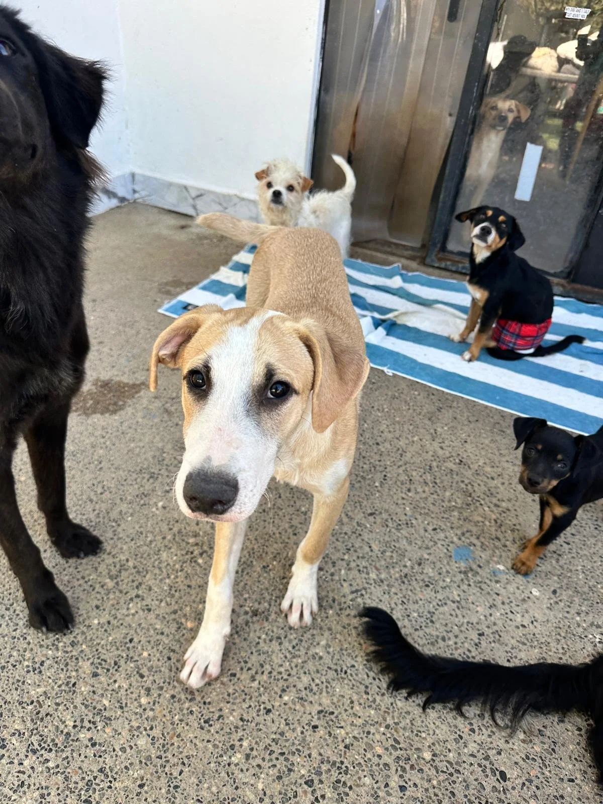 WhatsApp Image 2026-02-17 at 3.31.34 PM (3).jpeg