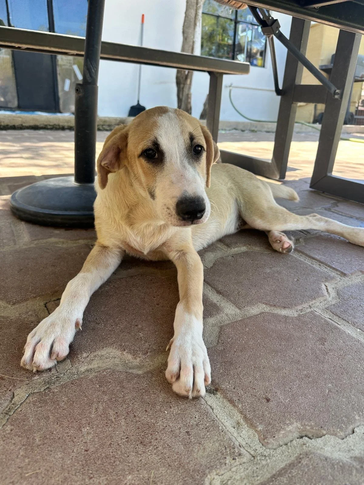 WhatsApp Image 2026-02-17 at 3.31.34 PM.jpeg