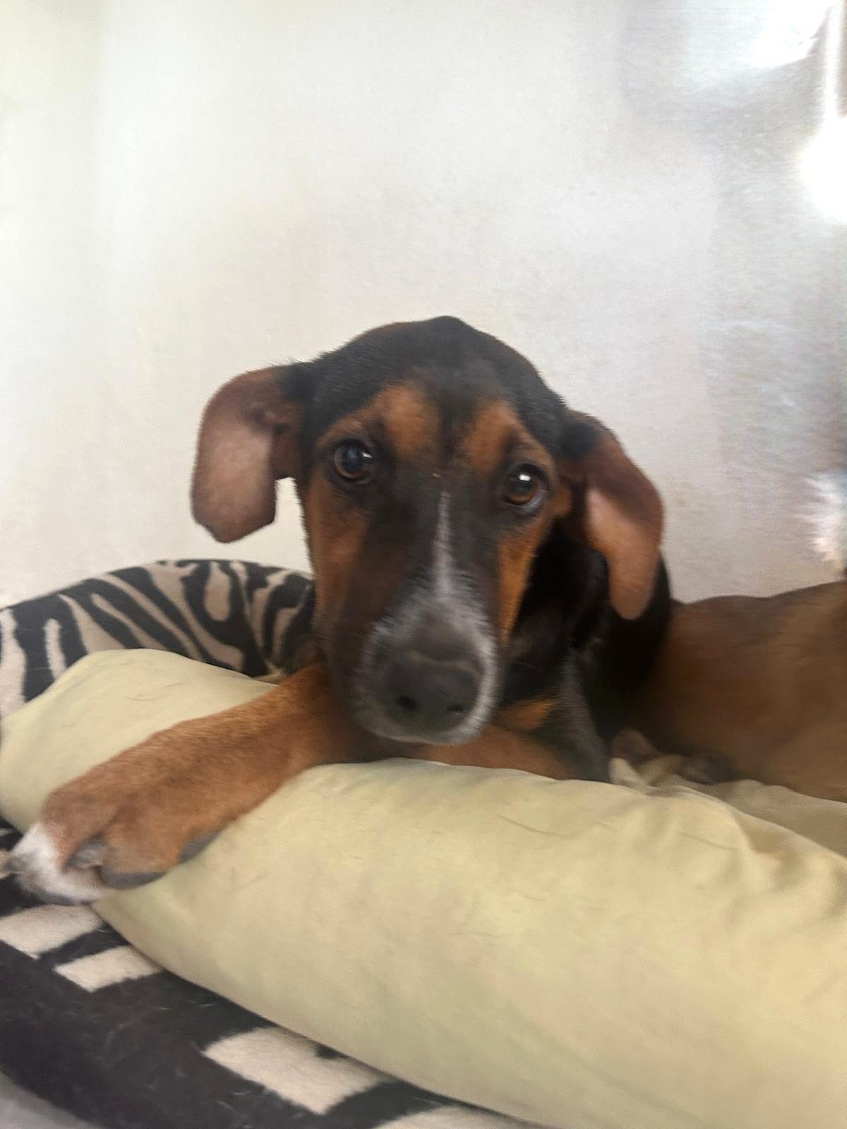 WhatsApp Image 2026-02-17 at 3.33.01 PM (3).jpeg