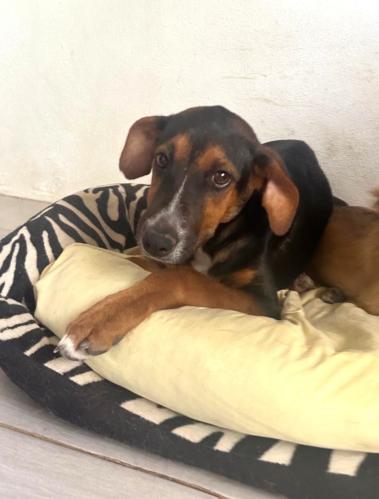 WhatsApp Image 2026-02-17 at 3.33.01 PM (2).jpeg