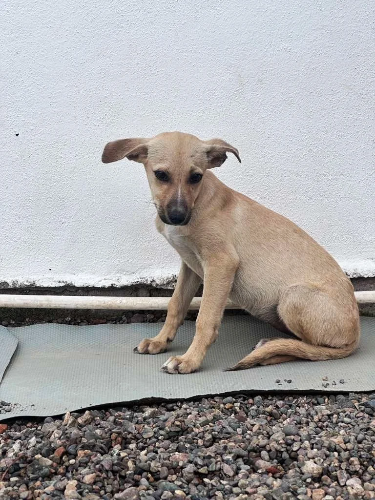 WhatsApp Image 2025-12-31 at 3.46.42 PM.jpeg