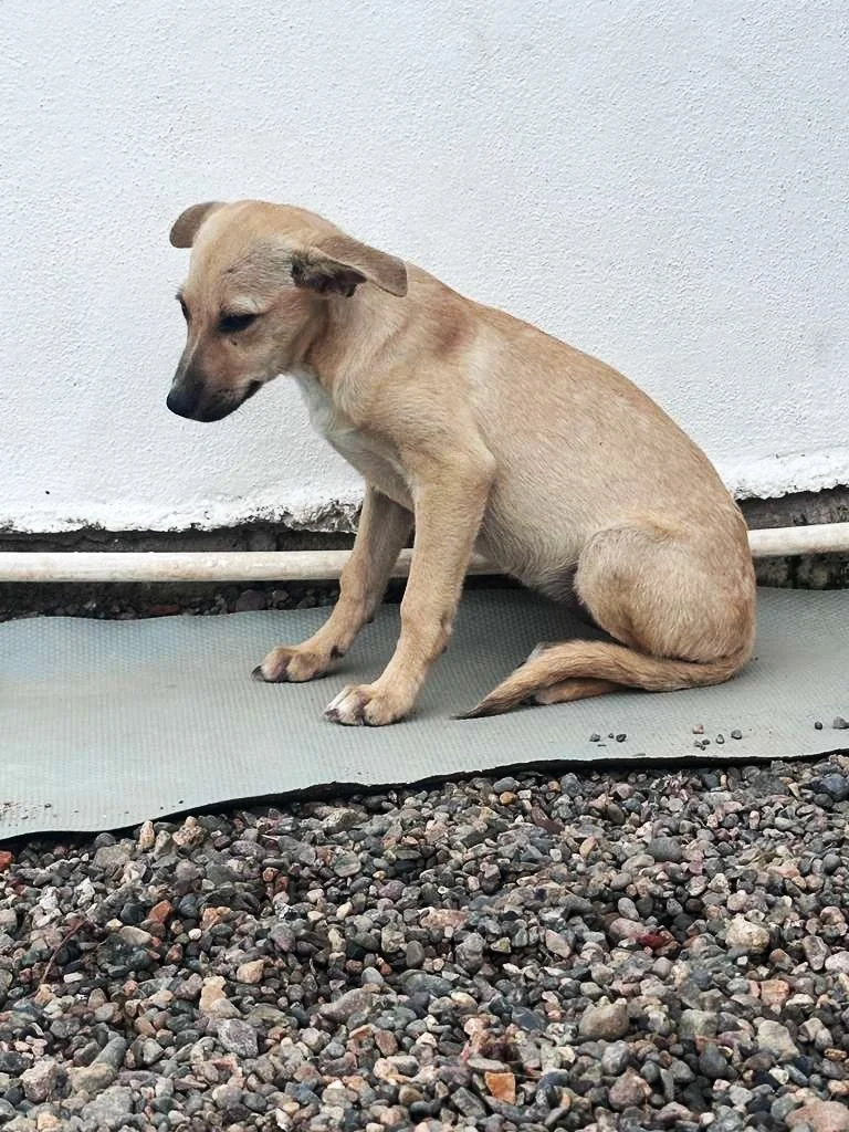 WhatsApp Image 2025-12-31 at 3.46.40 PM.jpeg