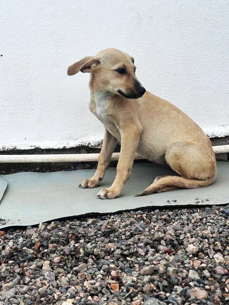 WhatsApp Image 2025-12-31 at 3.46.40 PM (1).jpeg