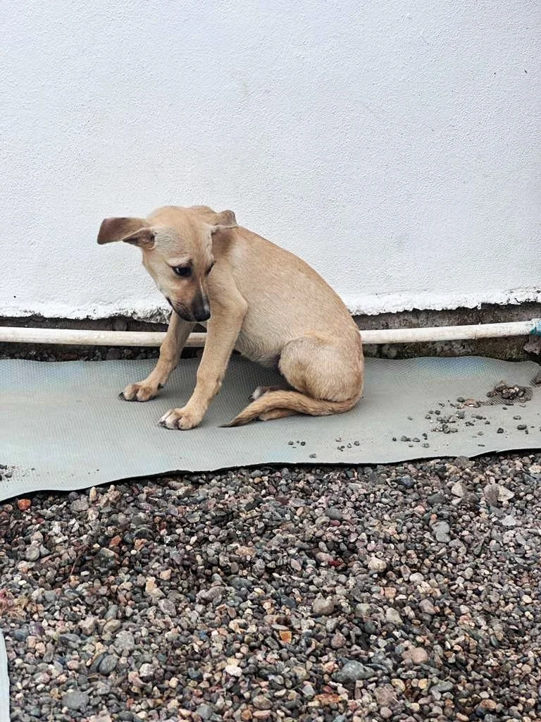 WhatsApp Image 2025-12-31 at 3.46.39 PM.jpeg