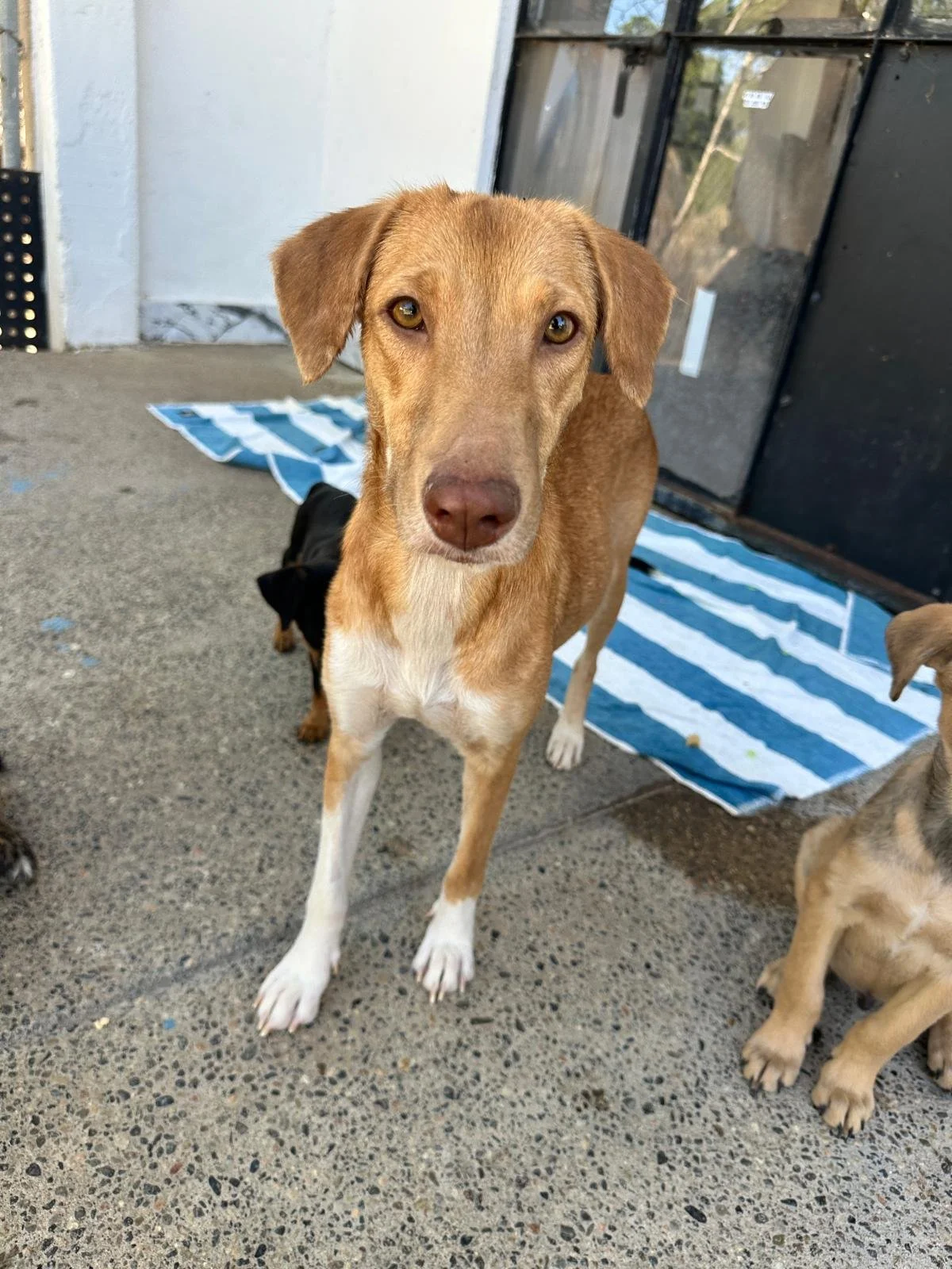 WhatsApp Image 2026-02-17 at 3.34.38 PM.jpeg