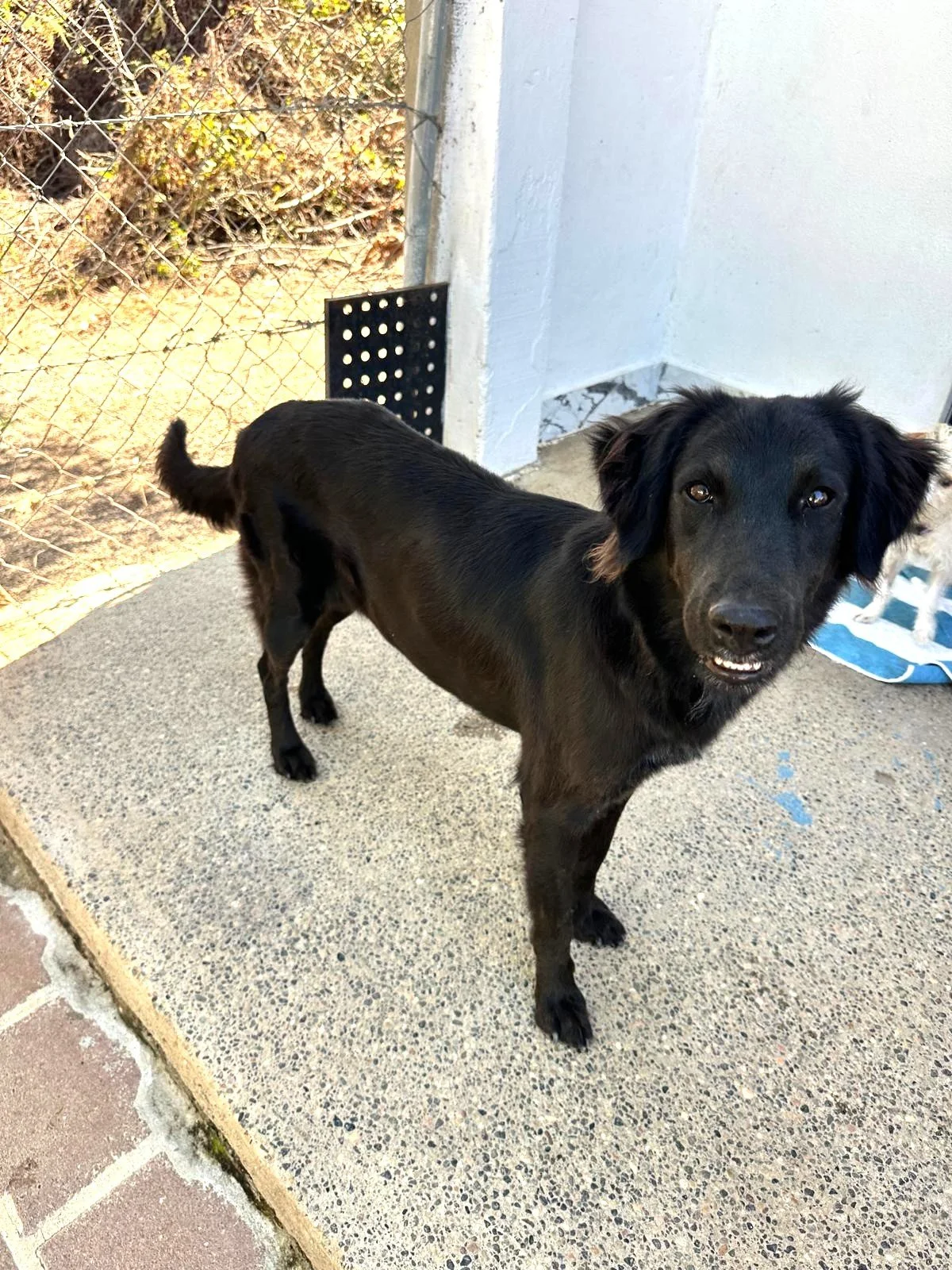 WhatsApp Image 2026-02-17 at 3.34.21 PM.jpeg