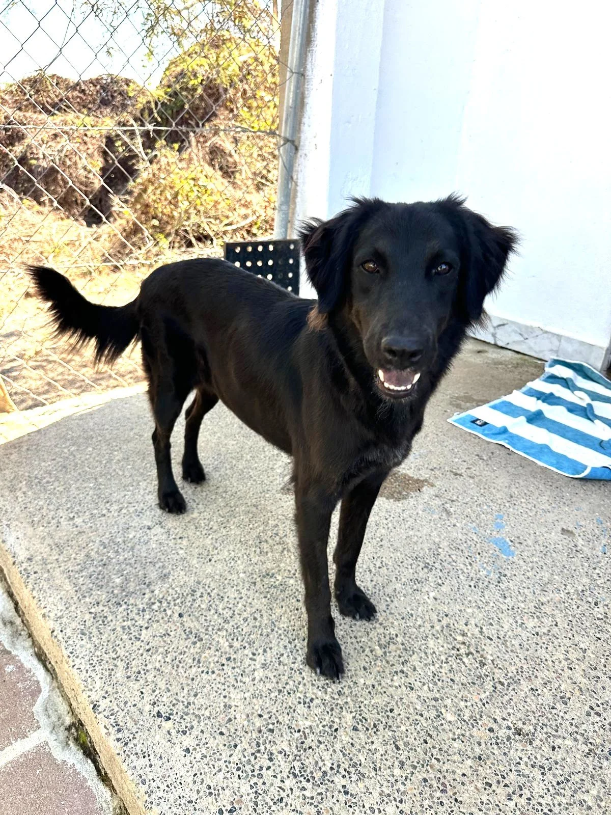 WhatsApp Image 2026-02-17 at 3.34.20 PM.jpeg