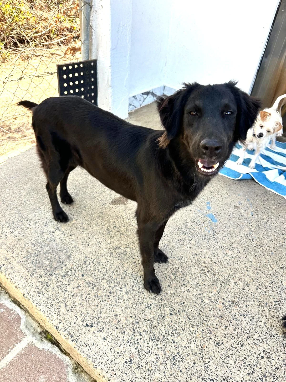 WhatsApp Image 2026-02-17 at 3.34.20 PM (1).jpeg