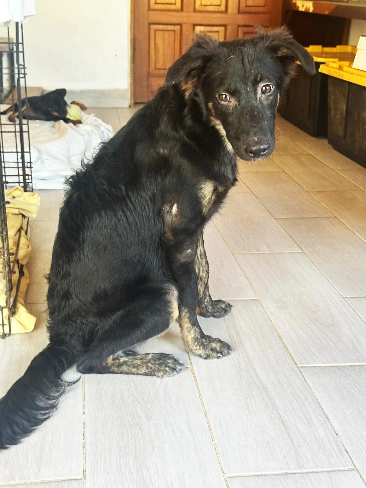 WhatsApp Image 2026-02-17 at 3.34.08 PM (1).jpeg