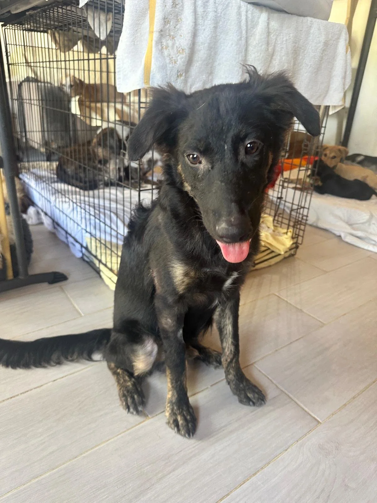 WhatsApp Image 2026-02-17 at 3.34.08 PM.jpeg