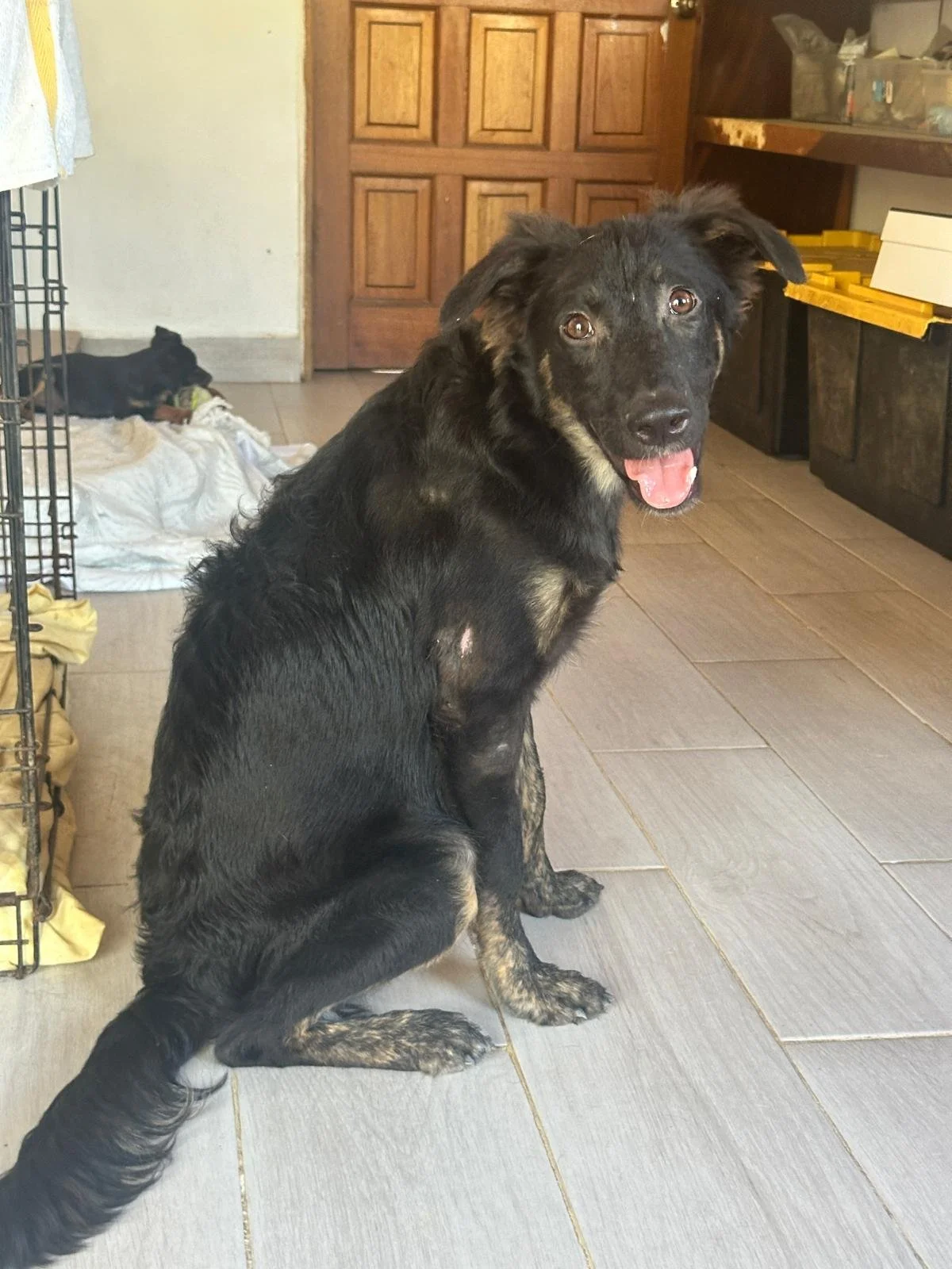 WhatsApp Image 2026-02-17 at 3.34.09 PM.jpeg