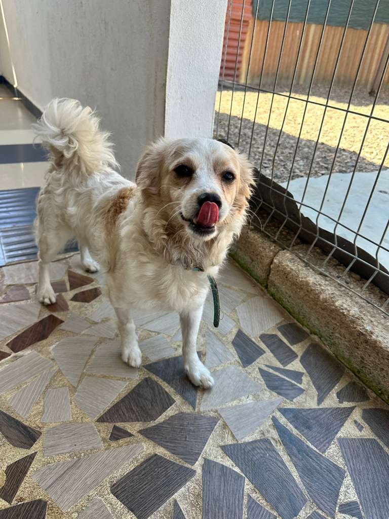 WhatsApp Image 2026-02-21 at 2.36.45 PM.jpeg