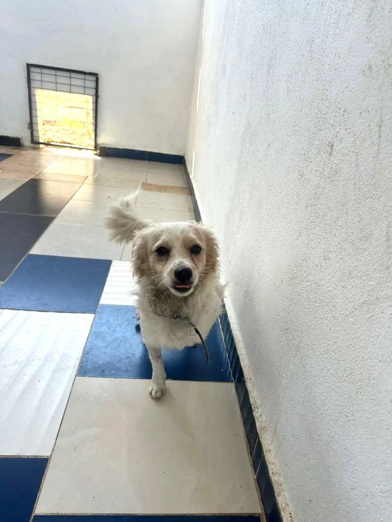 WhatsApp Image 2026-02-21 at 2.36.22 PM.jpeg