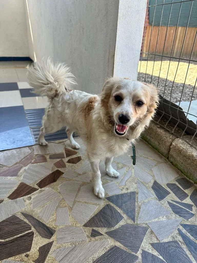 WhatsApp Image 2026-02-21 at 2.36.29 PM (1).jpeg