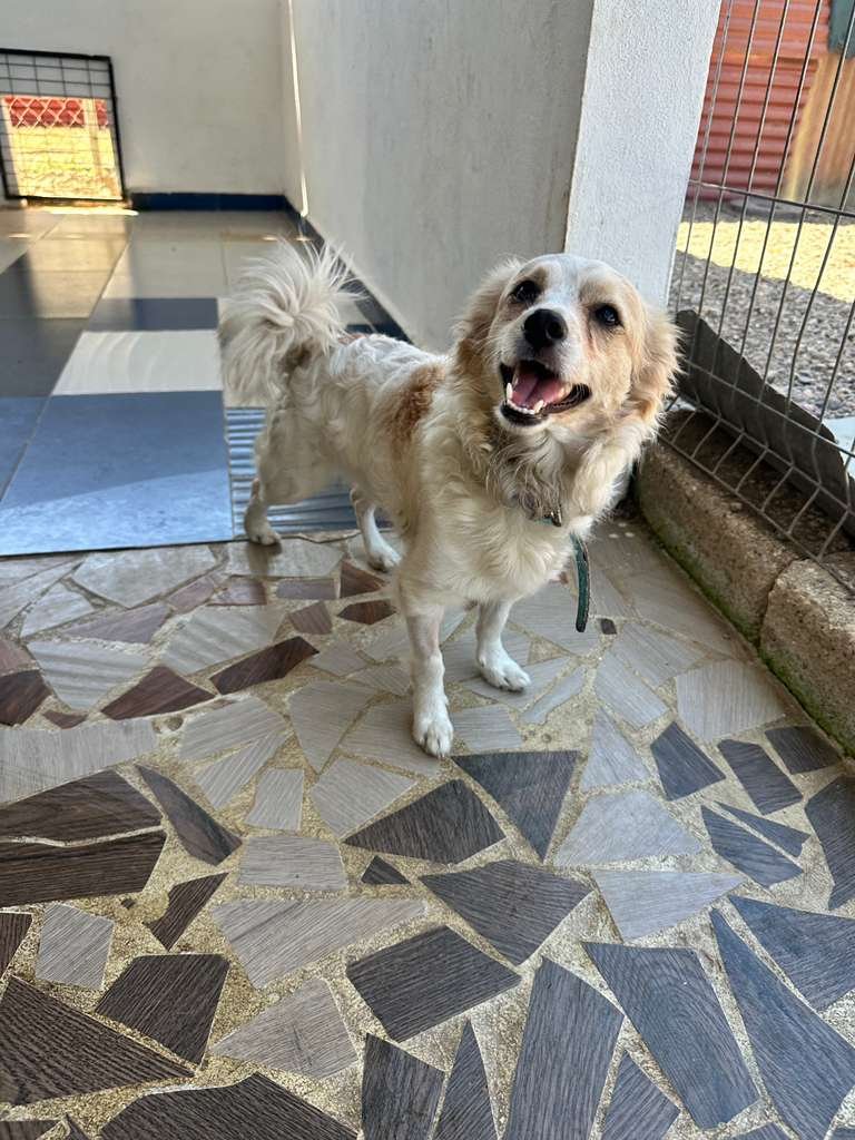 WhatsApp Image 2026-02-21 at 2.36.29 PM.jpeg