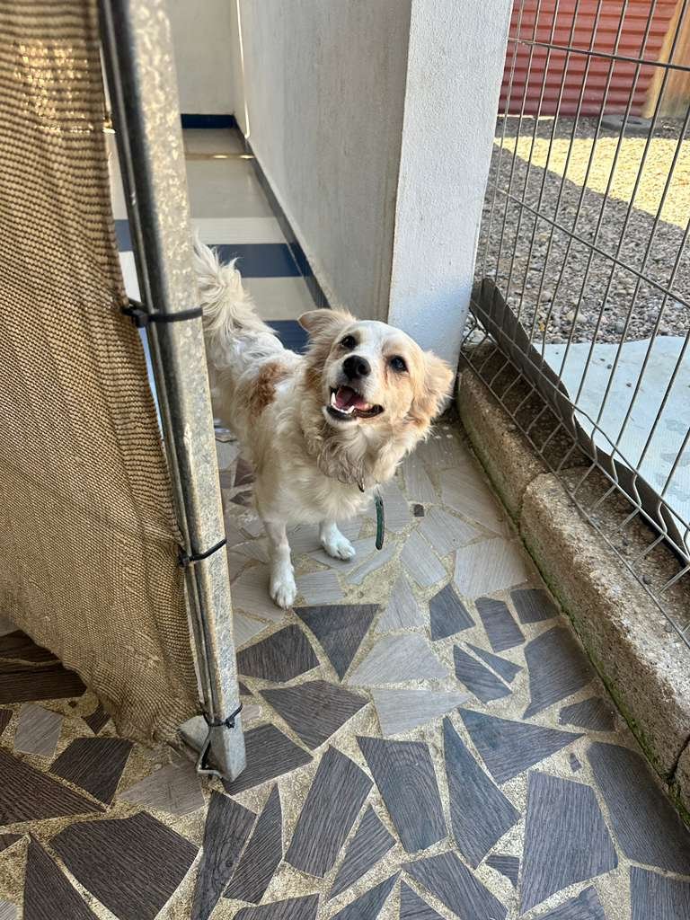 WhatsApp Image 2026-02-21 at 2.36.28 PM (1).jpeg