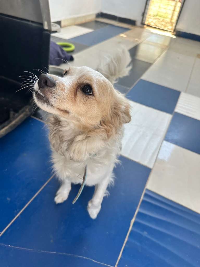 WhatsApp Image 2026-02-21 at 2.36.28 PM.jpeg