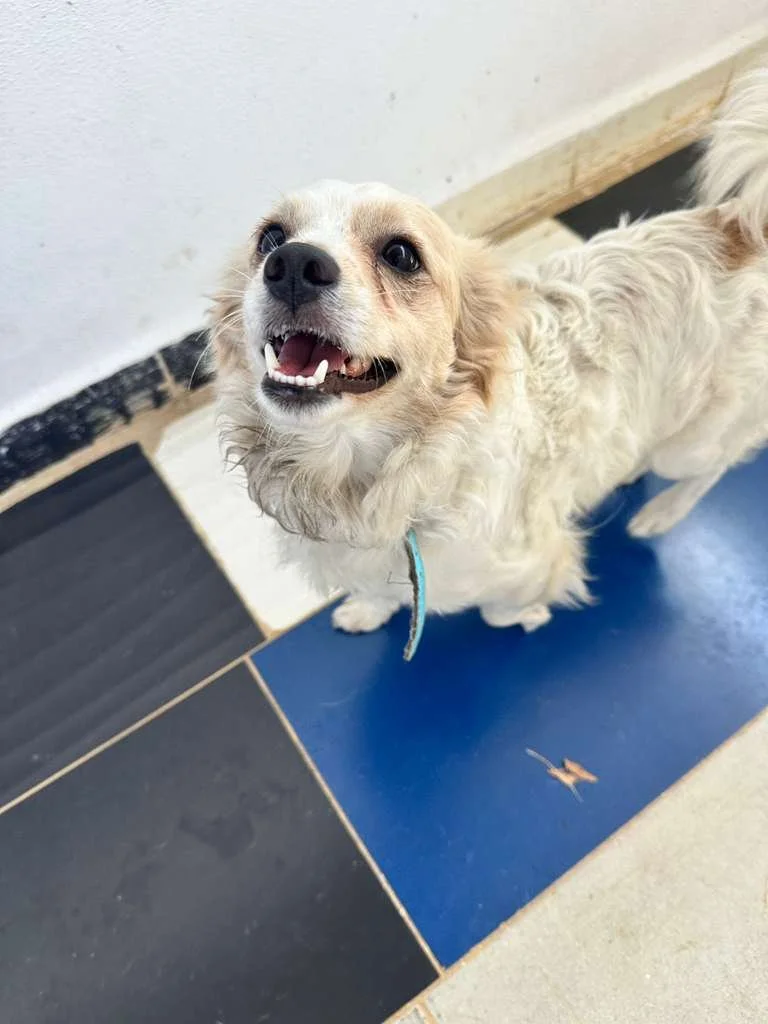 WhatsApp Image 2026-02-21 at 2.36.26 PM.jpeg