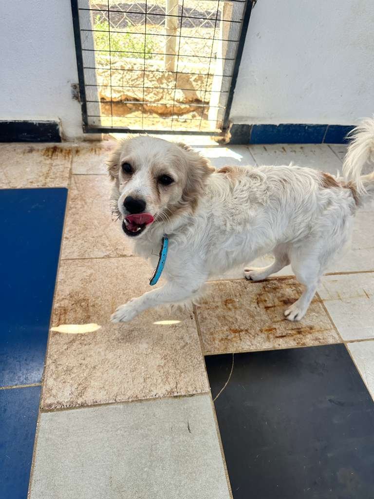 WhatsApp Image 2026-02-21 at 2.36.25 PM.jpeg