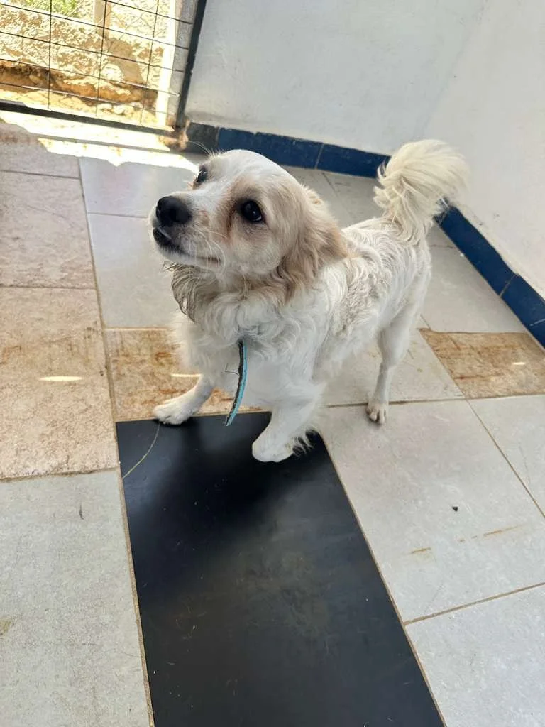 WhatsApp Image 2026-02-21 at 2.36.24 PM.jpeg