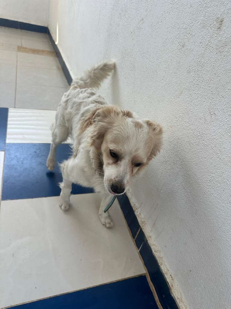 WhatsApp Image 2026-02-21 at 2.36.23 PM.jpeg