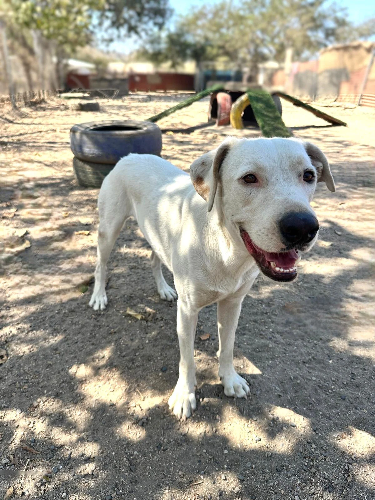 WhatsApp Image 2026-02-24 at 4.46.33 PM.jpeg