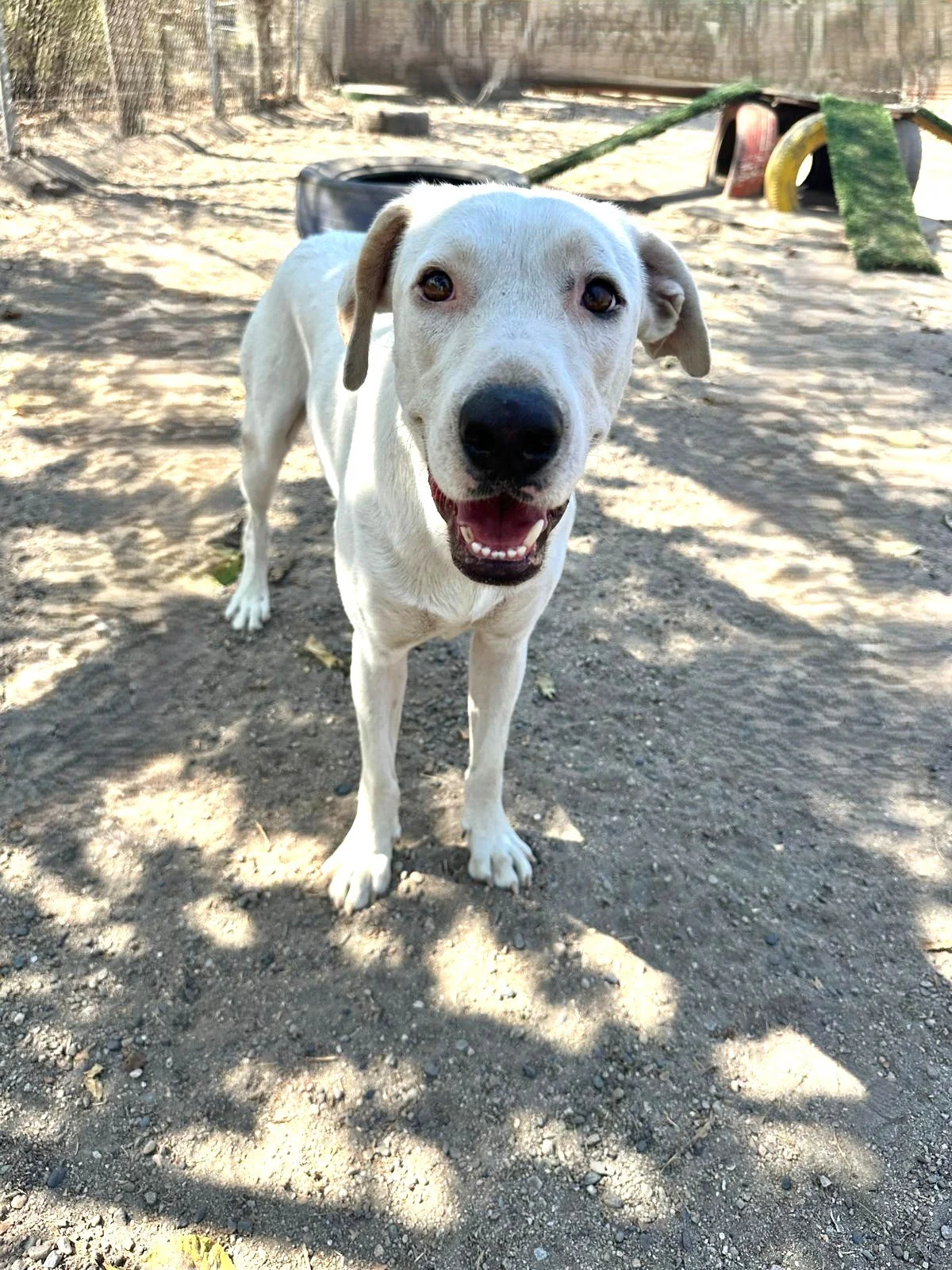 WhatsApp Image 2026-02-24 at 4.46.32 PM.jpeg