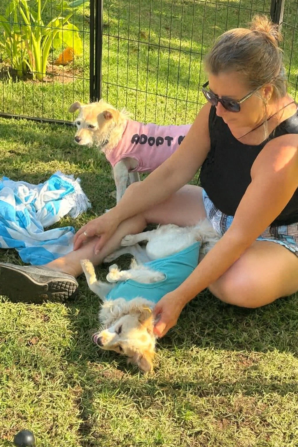 WhatsApp Image 2026-02-25 at 10.16.38 AM.jpeg