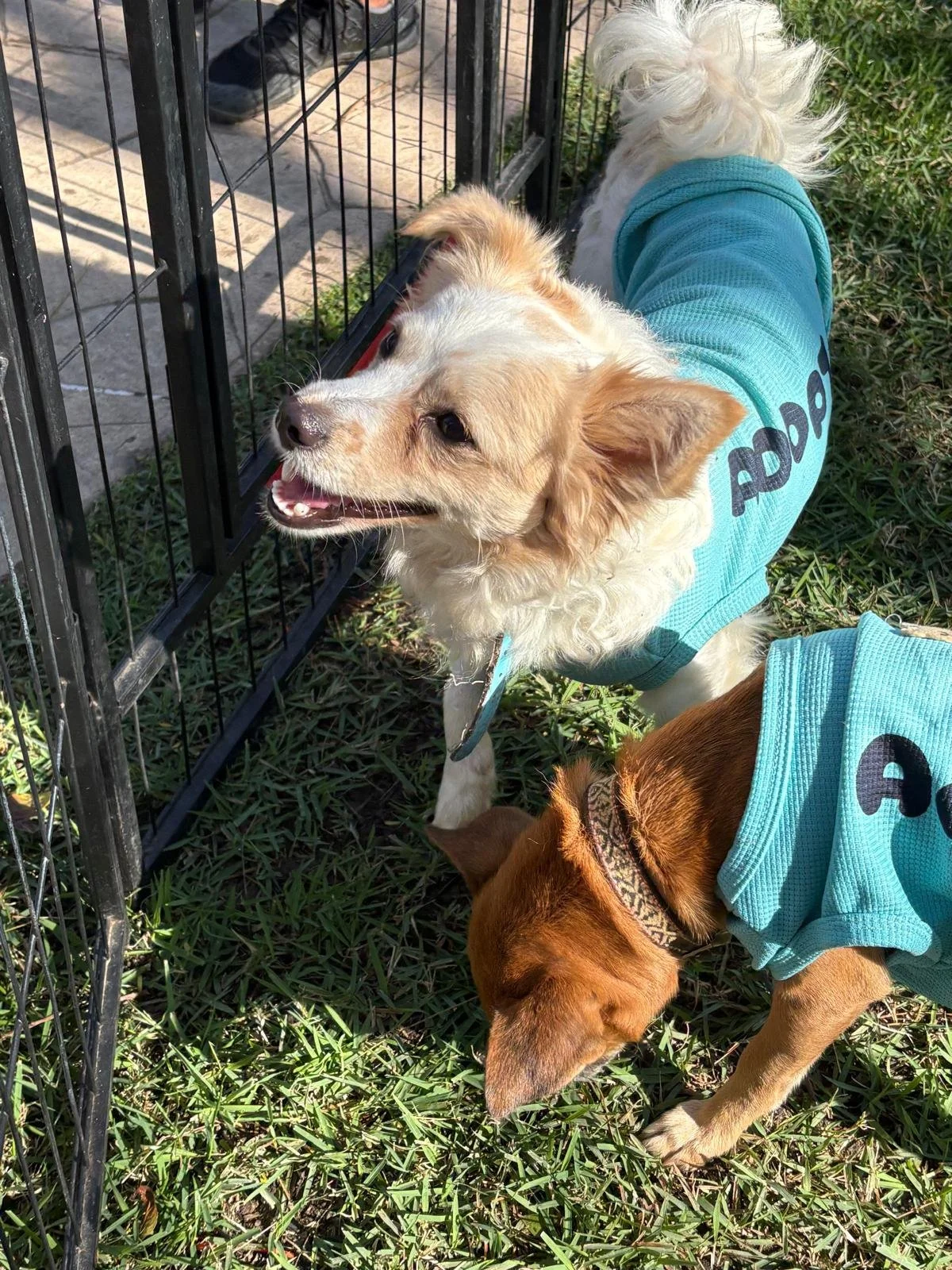 WhatsApp Image 2026-02-25 at 10.10.12 AM.jpeg