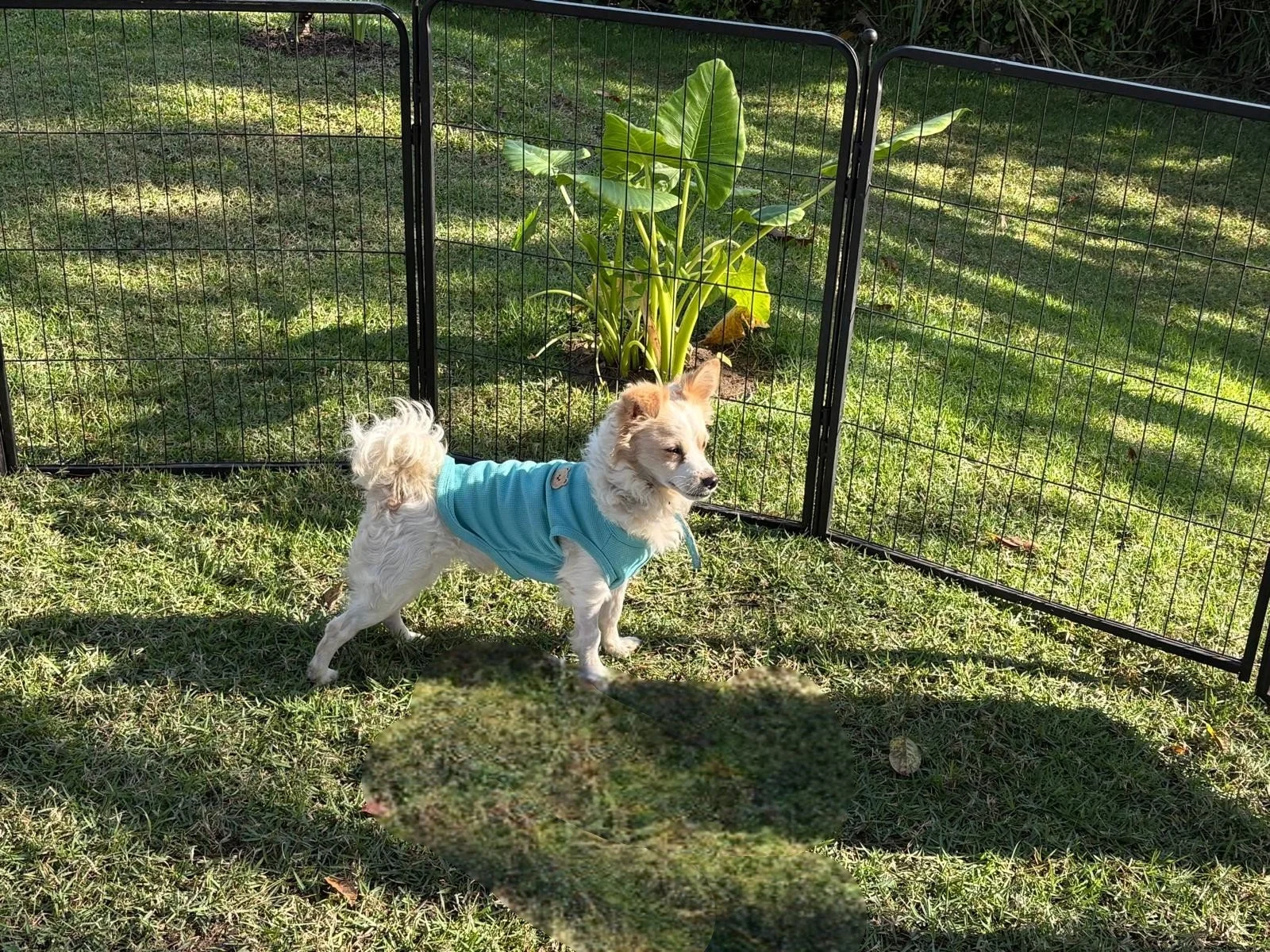 WhatsApp Image 2026-02-25 at 10.10.13 AM.jpg