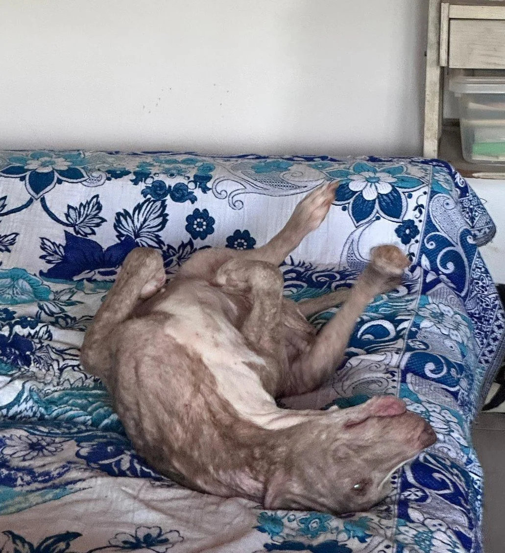 WhatsApp Image 2025-12-30 at 3.20.34 PM.jpeg