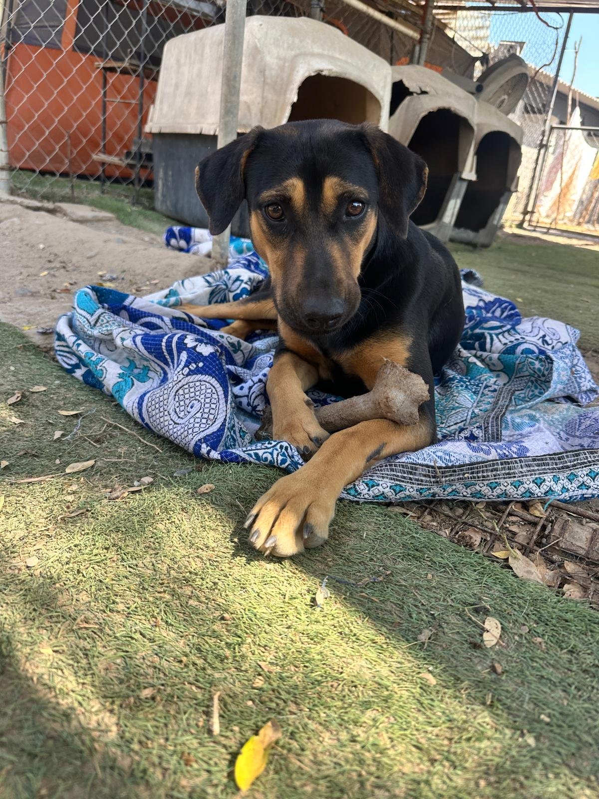 Sydney 2-25-26 C.jpeg