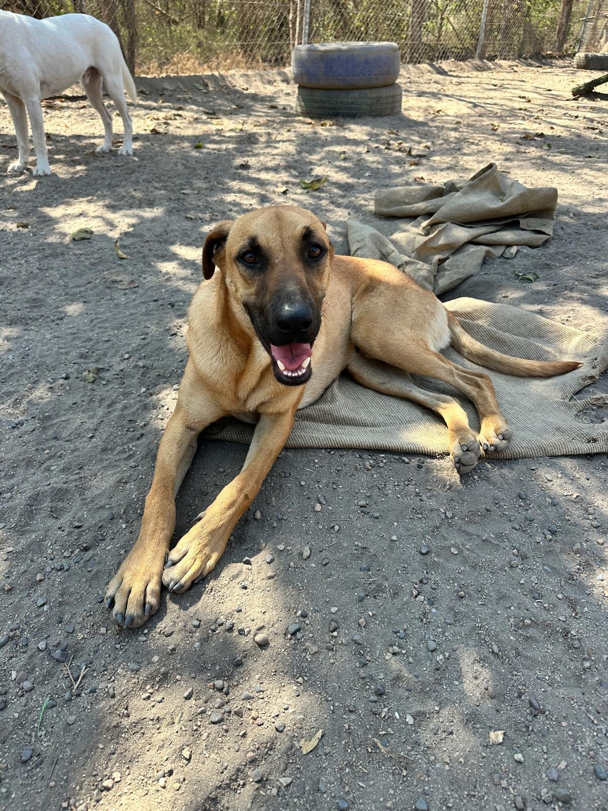 Aquarius 2-23-26 A.jpeg