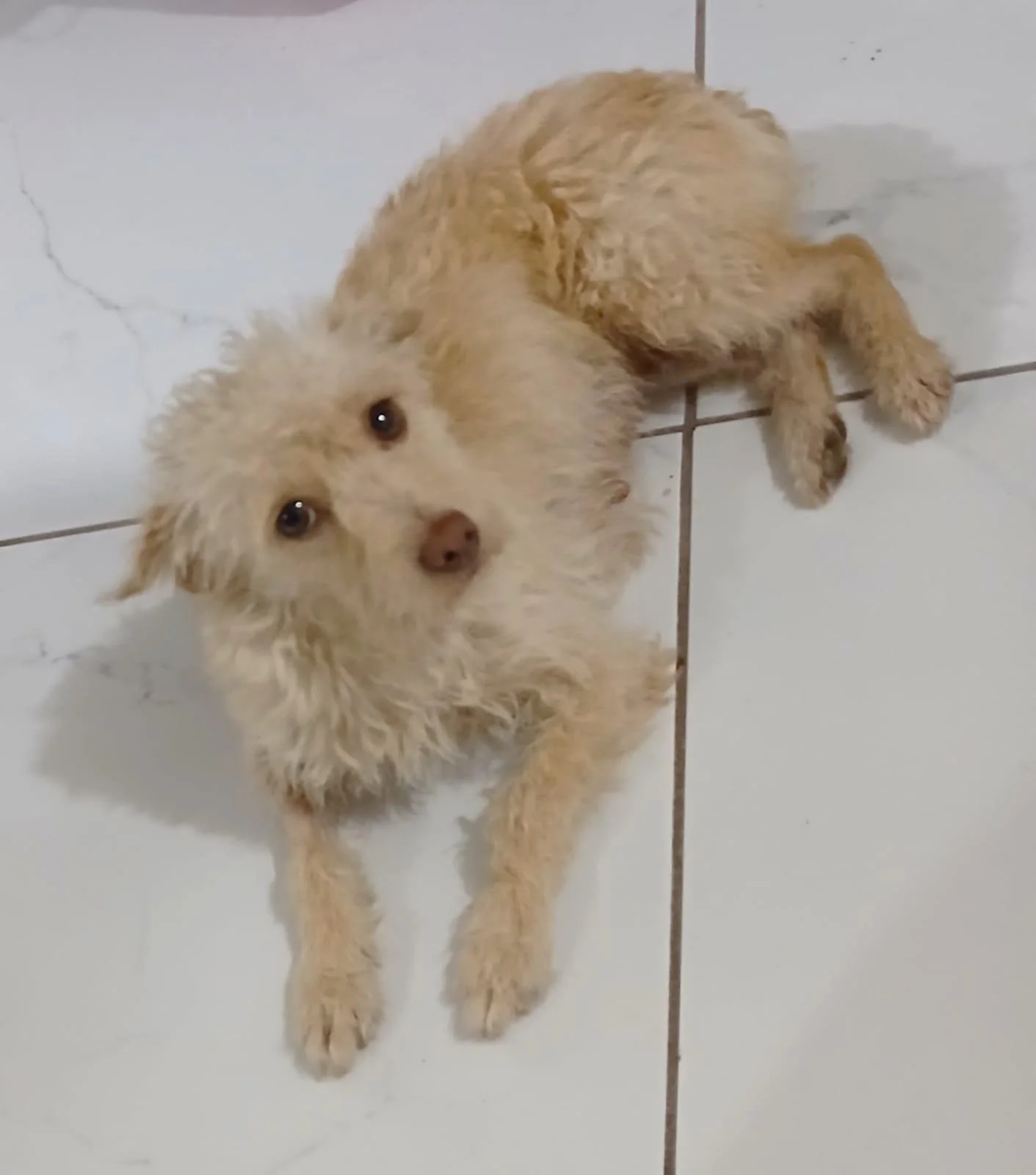 WhatsApp Image 2026-02-27 at 11.49.04 AM (4).jpeg