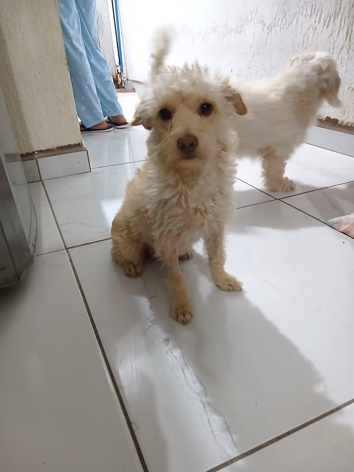 WhatsApp Image 2026-02-27 at 11.49.04 AM (5).jpeg