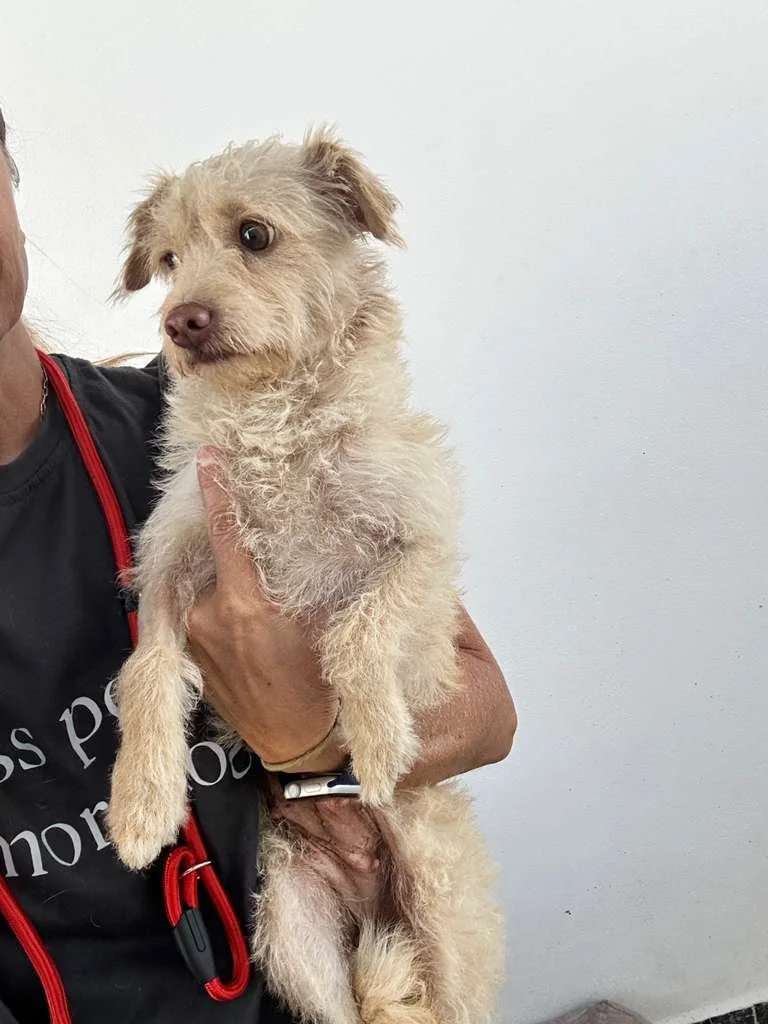 WhatsApp Image 2026-02-27 at 11.44.11 AM.jpeg