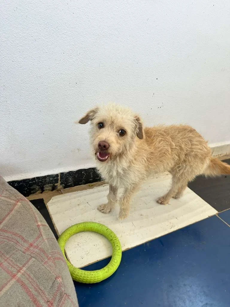 WhatsApp Image 2026-02-27 at 11.44.13 AM.jpeg